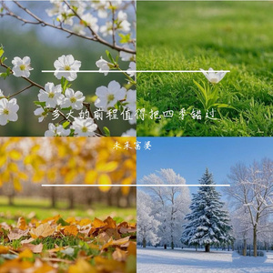 小🐔🐔插进去疯狂柔胸
