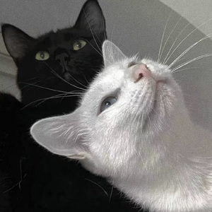 小🐔🐔插进去疯狂柔胸
