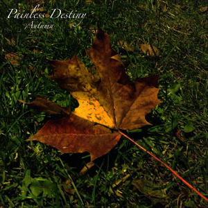 小🐔🐔插进去疯狂柔胸
